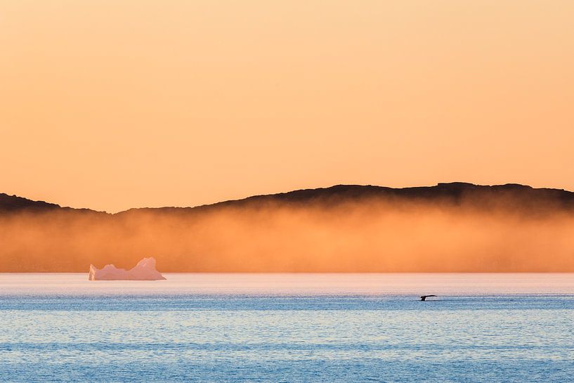 Sunset and whale off the coast of Aasiaat, Greenland by Martijn Smeets