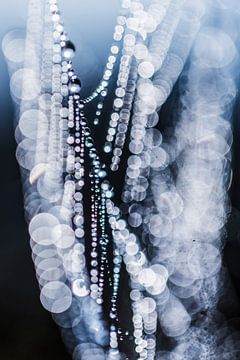Pearl necklace van Bob Daalder