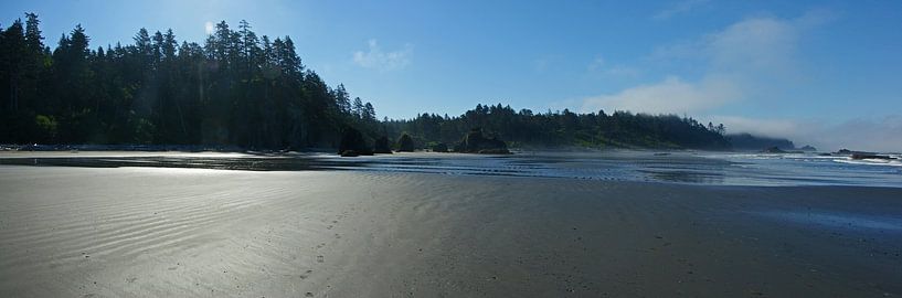 Ruby Beach, Olympic National Park, Pacific Northwest USA von Jeroen van Deel