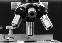 Microscope