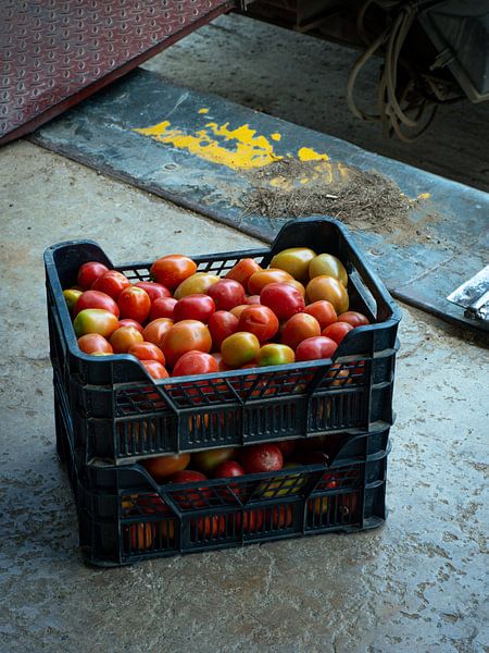 Stray tomatoes by Tatiana Tor Photography