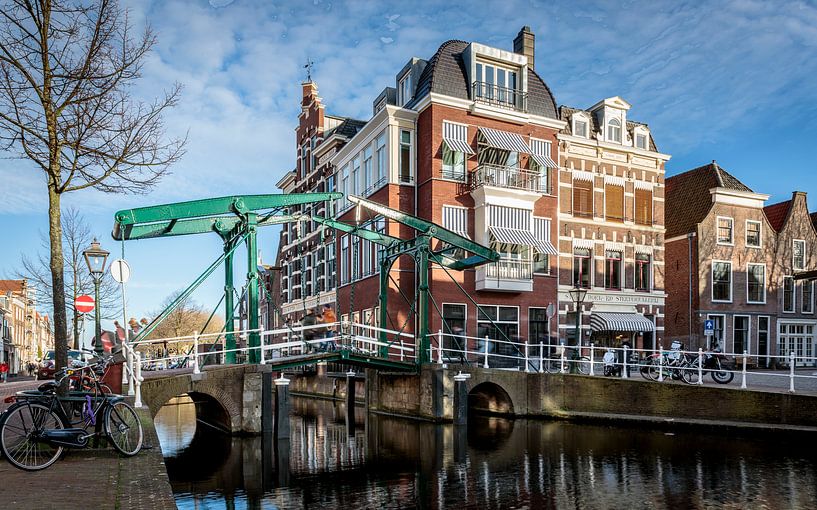 Kerkbrug aan de Oude Rijn by René Rollema