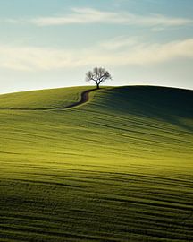 Ästhetischer Minimalismus
