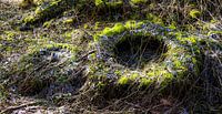 Overwoekerde banden - De natuur overwint de sporen van de beschaving
