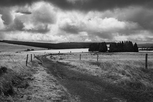 Lac de Bourdouze, Stimmungsvolle monochrome Landschaft von Imladris Images