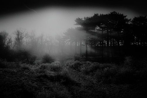 duinlandschap in mooi ochtendlicht van Karel Ham