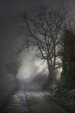 Low Winter Light
