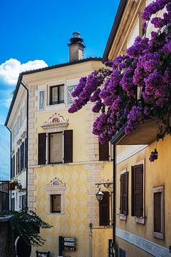 Altstadt Italien gasse von Tim Lee Williams