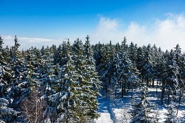 Winter im Riesengebirge bei Benecko, Tschechien
