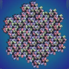 Gosper Fischerei von Tis Veugen