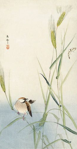 Bird and butterfly (1900 - 1930) by Ohara Koson