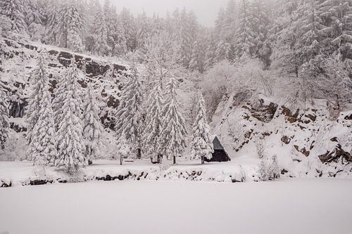 Korte winterwandeling in het besneeuwde Thüringer Woud bij Floh-Seligenthal - Thüringen - Duitsland