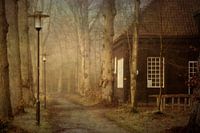 Fairytale
