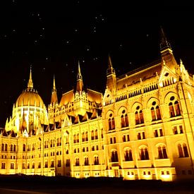 Budapest by night von Karin leijen