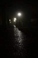 Dunkler Weg im Abendnebel