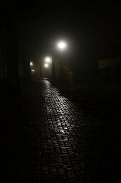 Chemin sombre dans le brouillard du soir sur Marlies Reimering