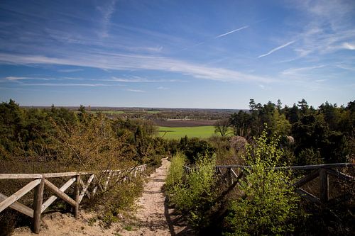 Vue depuis le Lemelerberg