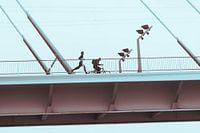 Erasmusbrug, Rotterdam