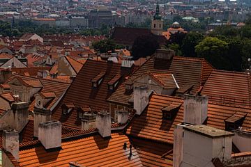 Daken in Praag van Nynke Altenburg