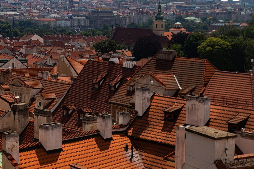 Dächer in Prag von Nynke Altenburg