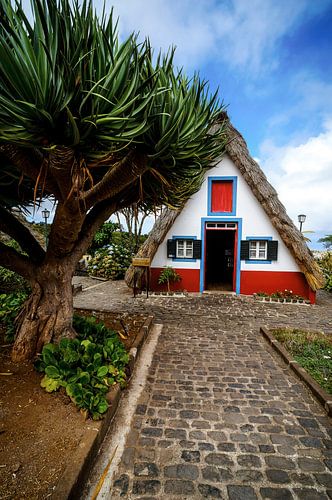 Häuser in Santana, Madeira von Loris Photography