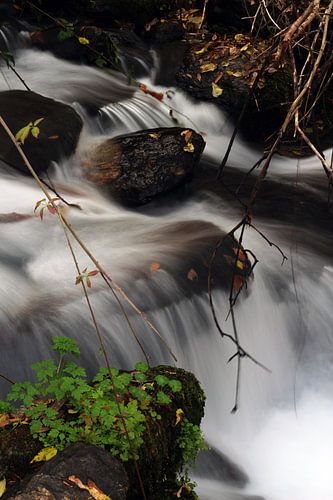 Rio Genil