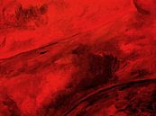 Rode dame van beangrphx Illustration and paintings thumbnail