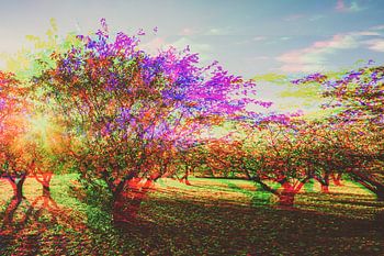 Tree plantation landscape glitch art