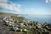 Waddendijk Terschelling (Ans)