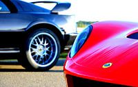 Rode en zwarte lotus