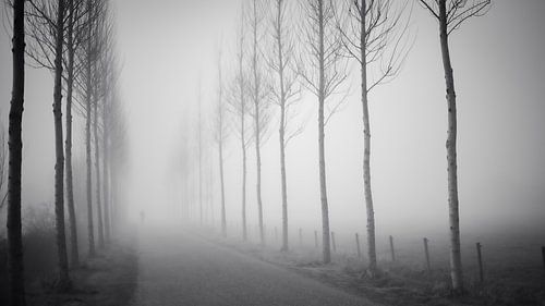Obscurité 2