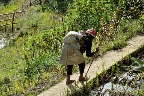 Een silhouet dat een verhaal vertelt