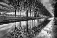 Biezenpolder