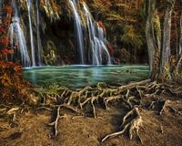 Enchanted Cascade