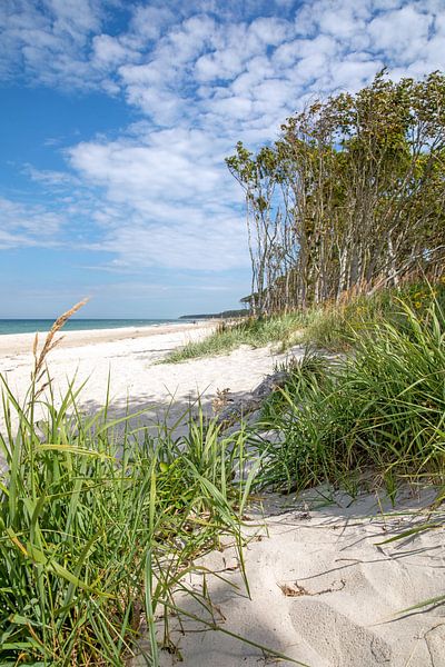 Darß - Weststrand, Oostzee (Mecklenburg-Vorpommern) van t.ART