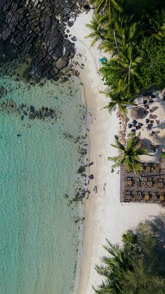 Tropical image of sun, sea, beach and palm trees by Marit Hilarius