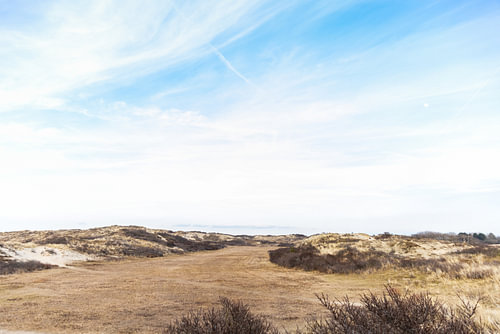 Paysage dans les dunes d'hiver de la bataille de Wassenaar