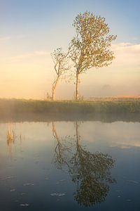 Spiegelungen von Bäumen im Afwateringskanaal bei Schildwolde in der Provinz Groningen an einem nebligen Morgen
