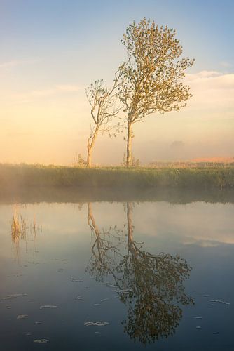 De weerspiegeling van bomen in het Afwateringskanaal bij Schildwolde in de provincie Groningen op een mistige ochtend