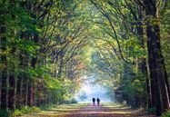 Herbstwald mit Wanderern von Marcel van Balken Miniaturansicht
