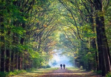 Forêt d'automne avec des promeneurs