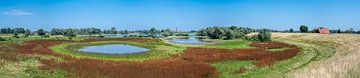 Panaroma der Millingerwaard von Werner Lerooy