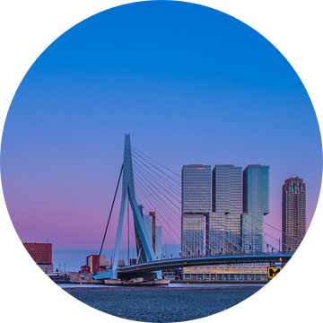 Skyline Rotterdam van Jelmer van Koert