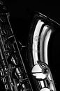 Selmer-Saxophon von Antoon van Osch Miniaturansicht