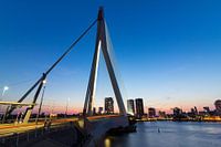 Erasmus bridge Rotterdam