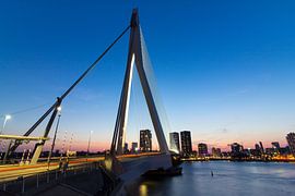 Erasmus bridge Rotterdam van Brandon Lee Bouwman