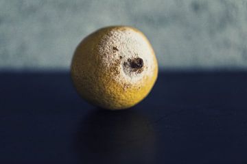 Stilleven van een beschimmelde citroen van André Blom Fotografie Utrecht