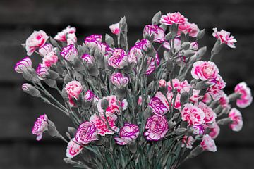 Créatif avec un bouquet de fleurs d'œillets sur Jolanda de Jong-Jansen