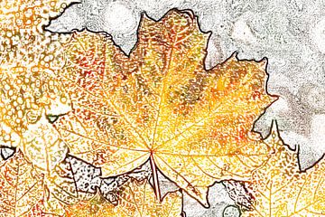 Buntes Ahornblatt im Herbst, Abstrakt