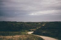 eenzaam in de duinen